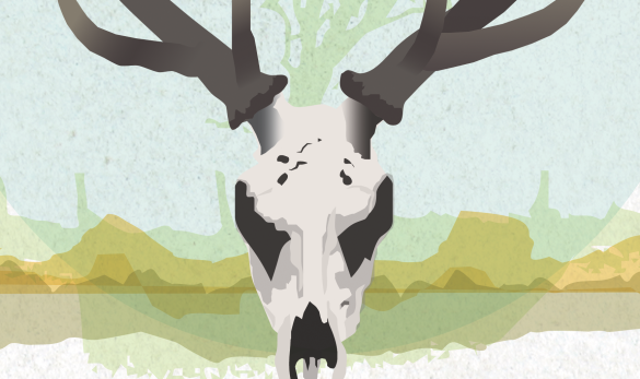 antler_featured